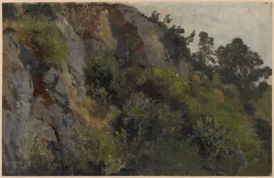 Rocky slope overgrown with plants av Adolf Dressler