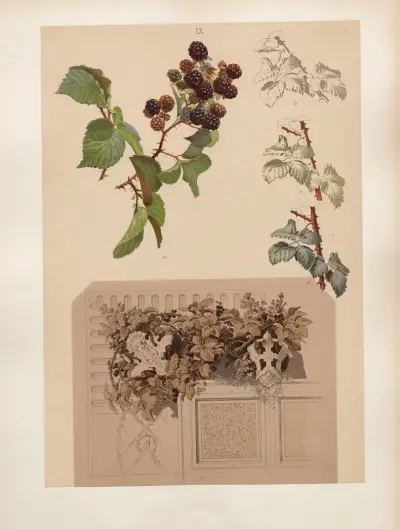 Studien zur Aquarell-Malerei Pl.08 av Adolf Schrödter