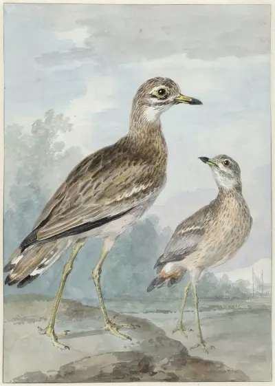 Twee grielen av Aert Schouman