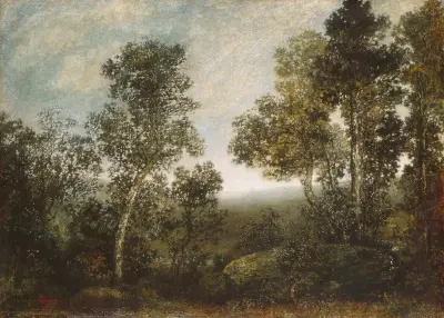 Landscape, 1885 von Ralph Albert Blakelock