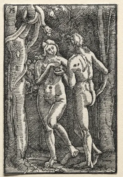 Adam and Eve Eating the Forbidden Fruit, Albrecht Altdorfer