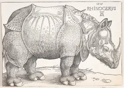 Das Rhinozeros, 1515 – Nr. 2 von Albrecht Dürer
