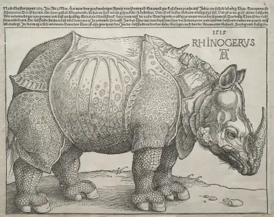 Das Rhinozeros, 1515 – Nr. 1 von Albrecht Dürer