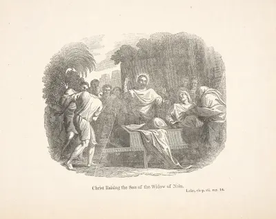 Christ raising the son of the widow of Nain. av Alexander Anderson