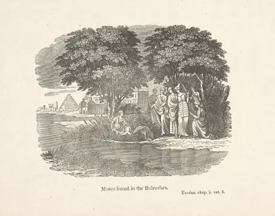 Moses found in the bulrushes. av Alexander Anderson
