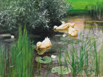 Enten im Seerosenteich, Alexander Koester