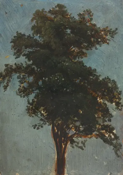 Tree Study, Alexandre Calame