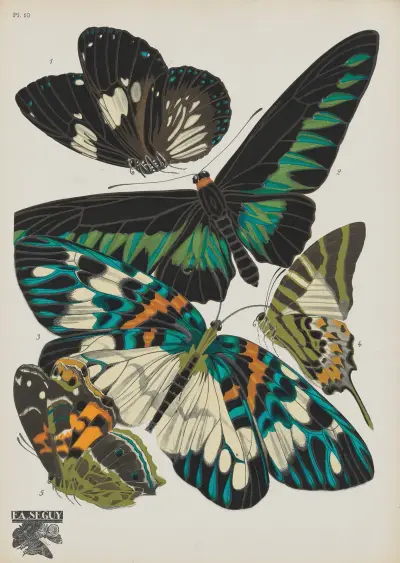 Papillons Pl.10 av Emile-Allain Séguy