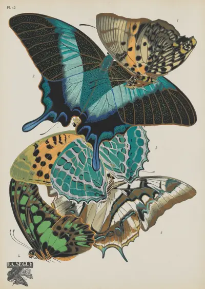 Papillons Pl.13 av Emile-Allain Séguy