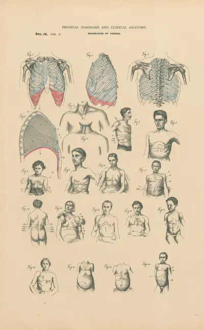 Physical diagnosis. Boundaries of sounds av Jean Allard Jeancon