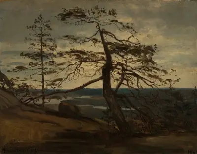 Fjellfuru, Setesdal von Amaldus Nielsen