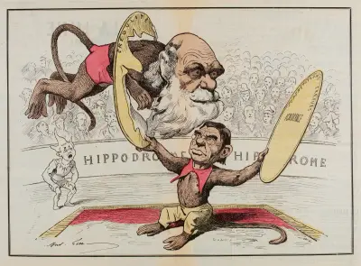 Darwin av André Gill