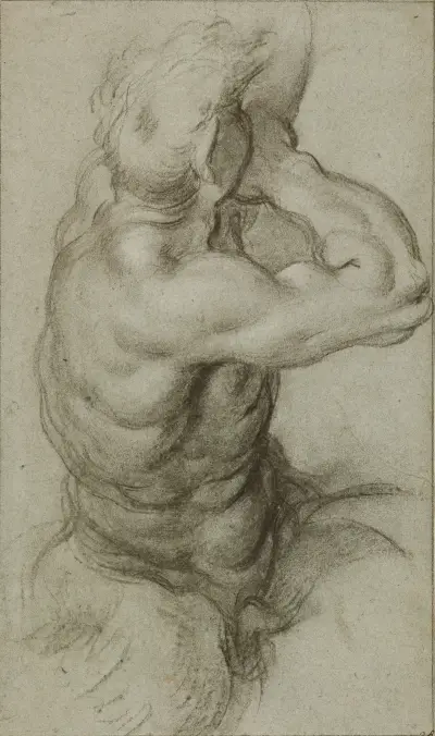 Study of Triton Blowing a Conch Shell av Annibale Carracci