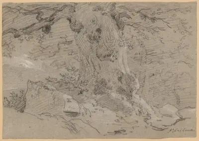 Study of Old Tree Trunk av Jean-Antoine Linck