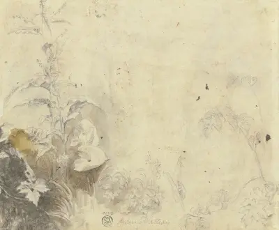 Pflanzen von Jean-Antoine Watteau