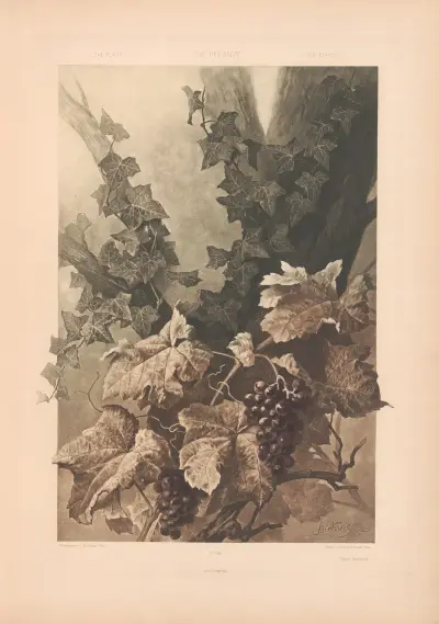 Die Pflanze in Kunst und Gewerbe (The Plant in Art and Industry) Pl.141 av Anton Seder
