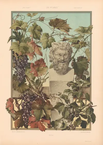 Die Pflanze in Kunst und Gewerbe (The Plant in Art and Industry) Pl.143 av Anton Seder