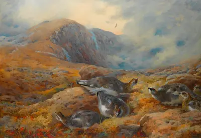 Gefahr in der Höhe – Alpenschneehuhn von Archibald Thorburn