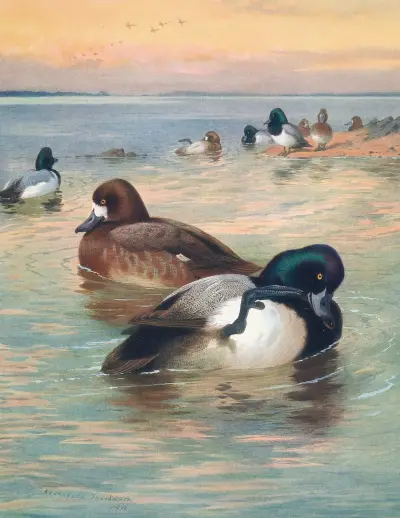 Bergand von Archibald Thorburn