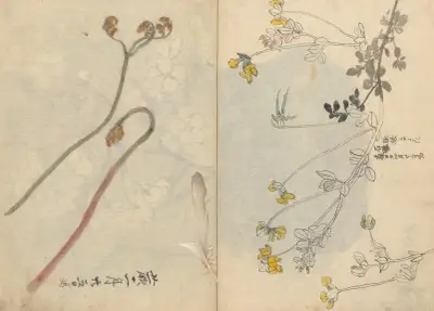 Sketchbook Pl.026 av Ariyoshi Kondo