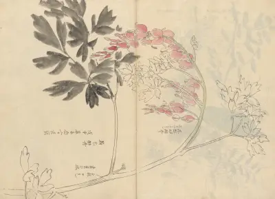 Sketchbook Pl.028 av Ariyoshi Kondo