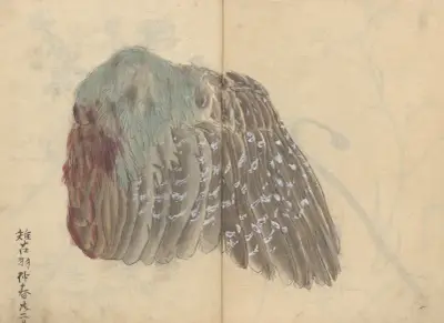 Sketchbook Pl.039 av Ariyoshi Kondo
