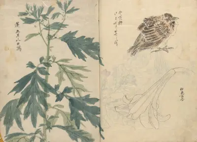 Sketchbook Pl.070 av Ariyoshi Kondo