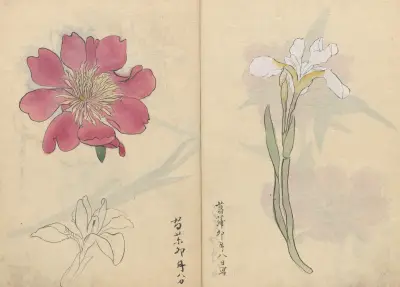 Sketchbook Pl.071 av Ariyoshi Kondo