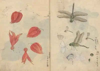 Sketchbook Pl.076 av Ariyoshi Kondo