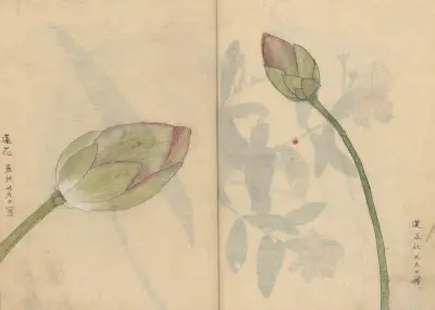 Sketchbook Pl.078 av Ariyoshi Kondo