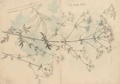 Sketchbook Pl.087 av Ariyoshi Kondo