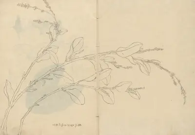 Sketchbook Pl.093 av Ariyoshi Kondo