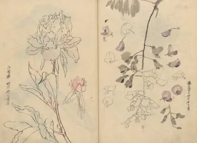 Sketchbook Pl.110 av Ariyoshi Kondo