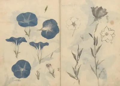 Sketchbook Pl.112 av Ariyoshi Kondo