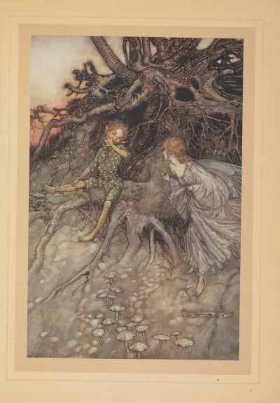 C’est moi que suis ce joyeux vagabond nocturne av Arthur Rackham