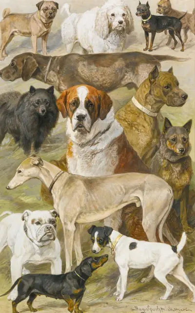 Dog Studies av August Specht