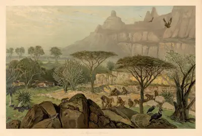 From the highlands of Abyssinia av August Specht