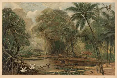 Ganges Delta av August Specht