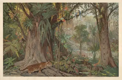 On the upper reaches of the Amazon River av August Specht