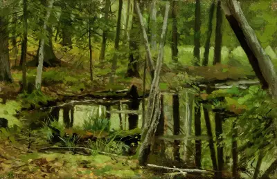 Forest Wilderness, Stanisław Witkiewicz
