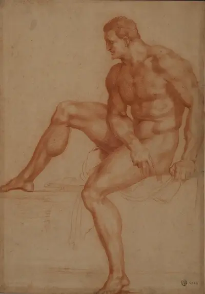 Estudio para Hércules, Baccio Bandinelli