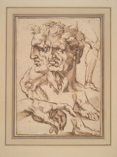 Sheet of Studies, Baccio Bandinelli