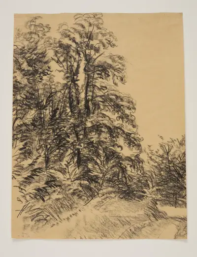 Stromy, Edmund Bartłomiejczyk
