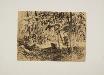 Lesní fragment, Edmund Bartłomiejczyk