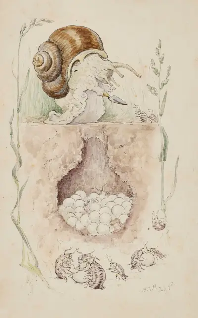 A Snail guarding their Nest von Beatrix Potter