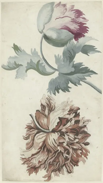 Papavers von Bernard Picart