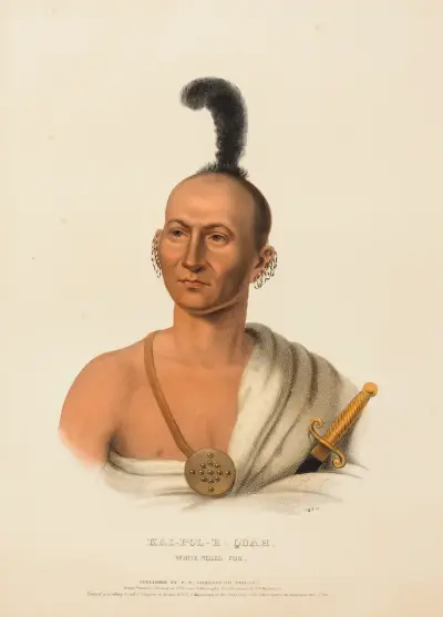 Kai-Pol-E-Quah, White Nosed Fox av Charles Bird King