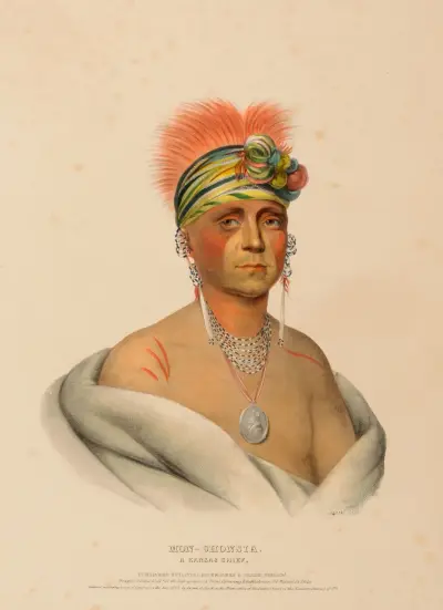 Mon-Chonsia. A Kansas Chief av Charles Bird King