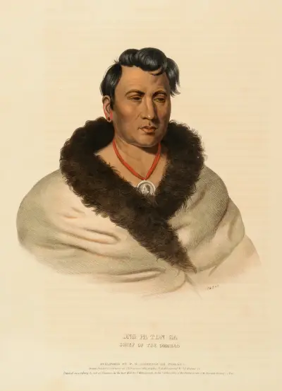 Ong Pa Ton Ga. Chief Of The Omahas av Charles Bird King