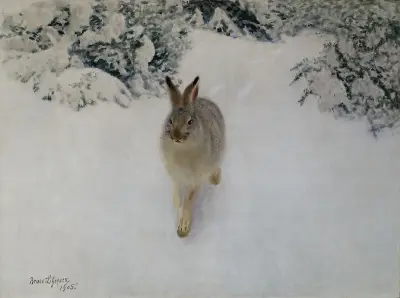 Hare i vinter av Bruno Liljefors